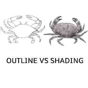 Drawing crab outline vs shading.